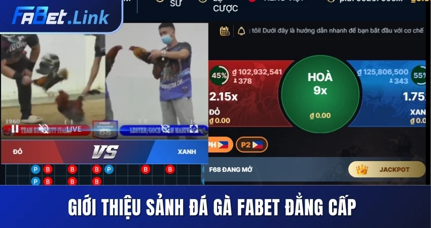 ĐÁ GÀ FABET - TẬN HƯỞNG MÀN TRANH TÀI CHỌI KÊ MÃN NHÃN 4 GIỚI THIỆU SẢNH ĐÁ GÀ FABET ĐẲNG CẤP