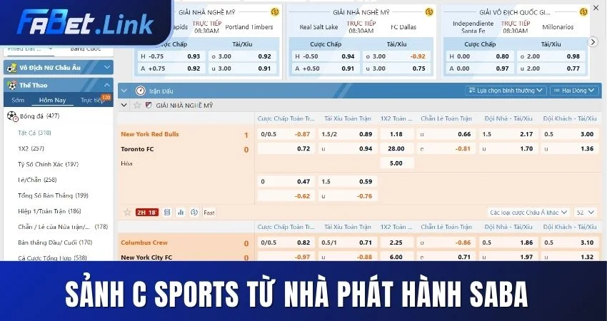 THỂ THAO FABET – THIÊN ĐƯỜNG CHO TÍN ĐỒ ĐAM MÊ CÁ CƯỢC 5 SẢNH C SPORTS TỪ NHÀ PHÁT HÀNH SABA