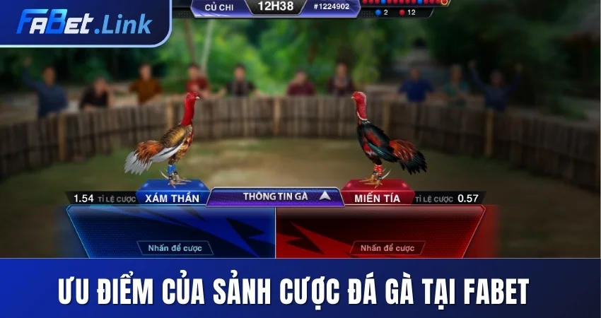 ĐÁ GÀ FABET - TẬN HƯỞNG MÀN TRANH TÀI CHỌI KÊ MÃN NHÃN 5 ƯU ĐIỂM CỦA SẢNH CƯỢC ĐÁ GÀ TẠI FABET